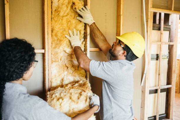 Types of Insulation We Offer in Genoa, AR